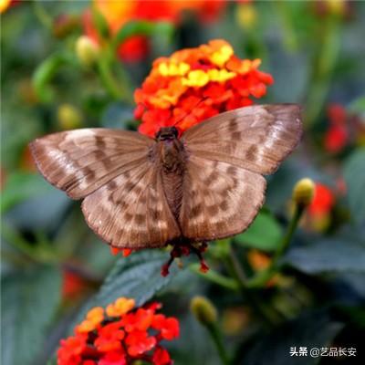凯蒂猫魔法世界最新版下载